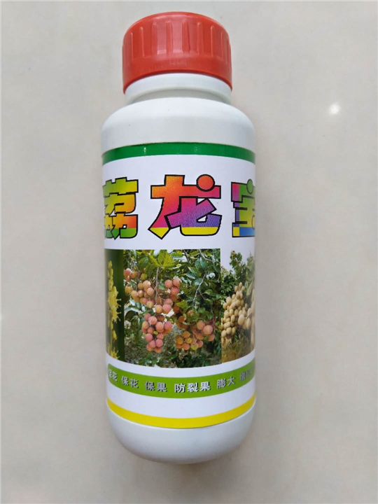 荔龙宝