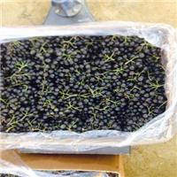 黑果花楸_百度百科 