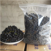 辽宁黑果花楸批发
