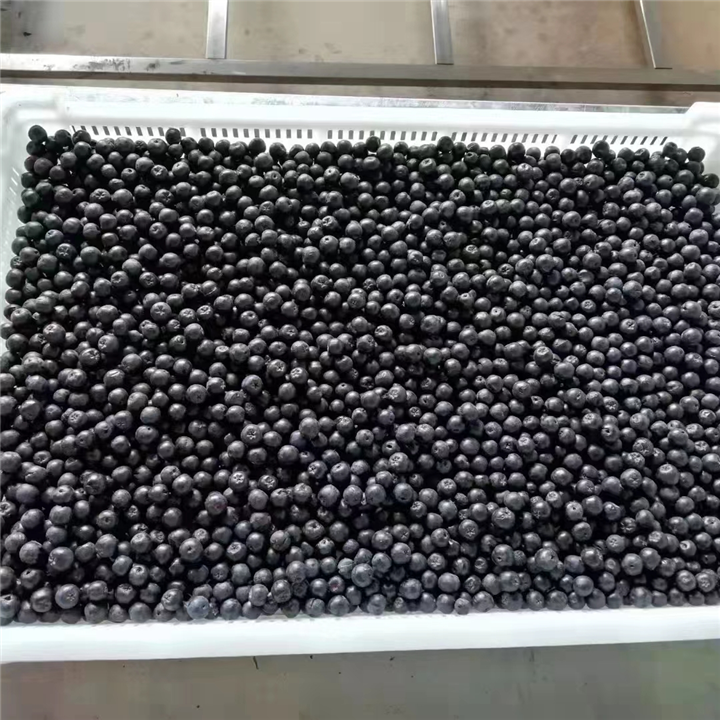 辽宁黑果花楸