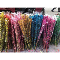 绵竹银柳种植基地