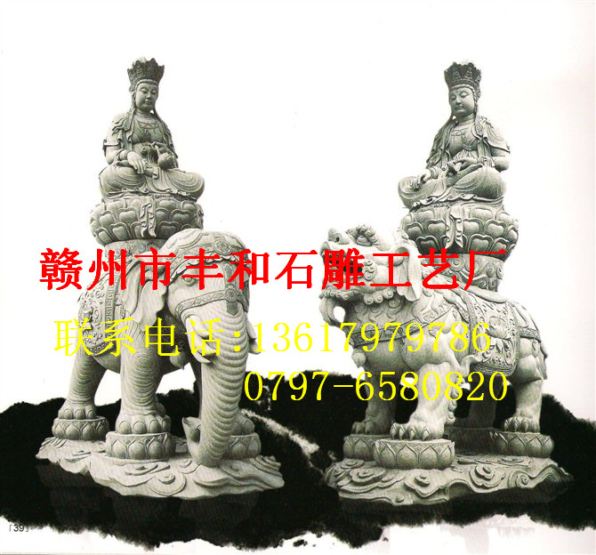 动物