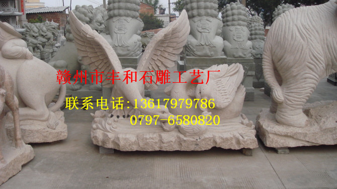 动物