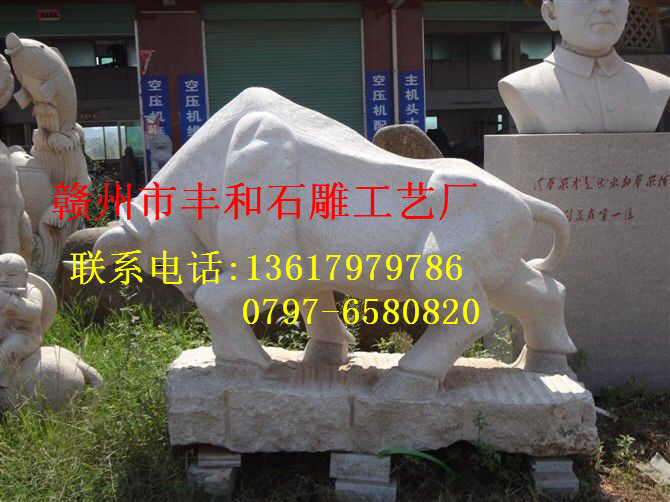 动物