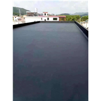 福清防水堵漏 