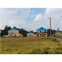 宁波墙绘公司