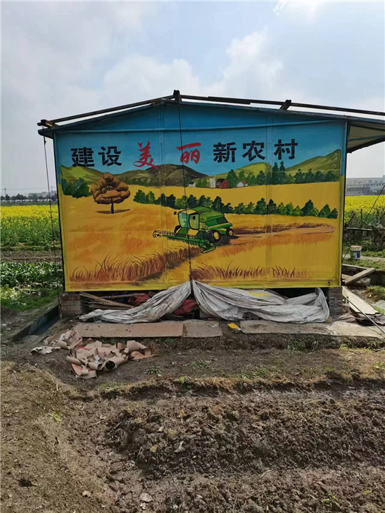 宁波墙绘公司
