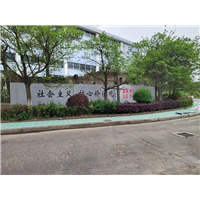 宁波墙绘施工