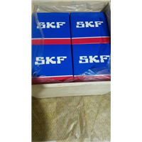 SKF**进口轴承 