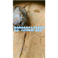 牛大力种苗/海南牛大力种苗/牛大力基地 