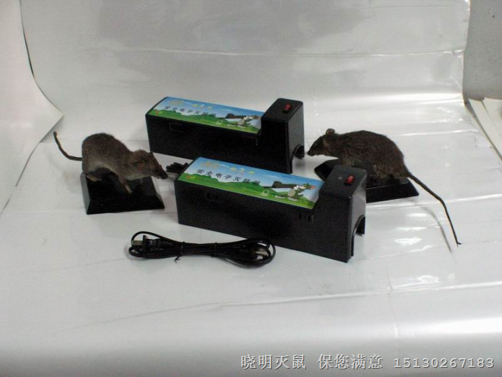 电子捕鼠器 