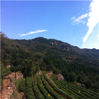 山东龙山风景区