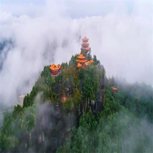 山东龙山茶园