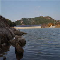 山东龙山茶园