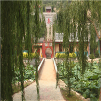山东哪里好玩