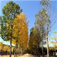 龙山动物园|莱芜动物园|龙山生态园