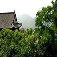 龙山茶园|龙山灵云寺|龙山风景区