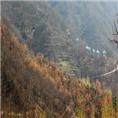 山东龙山风景|莱芜动物园|龙山茶园