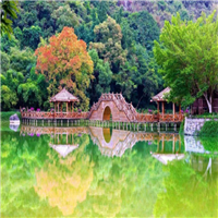 山东莱芜茶园