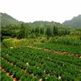 【龙山动物园】【莱芜动物园】【龙山生态园】