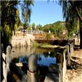 龙山动物园】【莱芜动物园】【龙山生态园