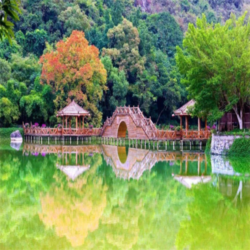 山东莱芜茶园