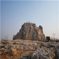 龙山茶园