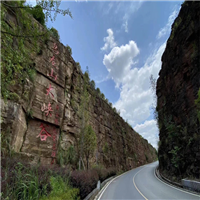 山东龙山茶园