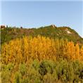 龙山动物园|莱芜动物园|龙山生态园