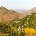 龙山动物园】【莱芜动物园】【龙山生态园