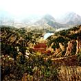 【山东龙山风景|莱芜动物园|龙山茶园】