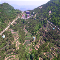 龙山生态园
