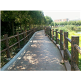 赣州仿木栏杆2 
