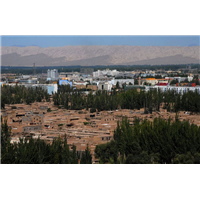 喀什旅游包车李师傅 