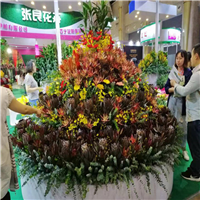 鲜花