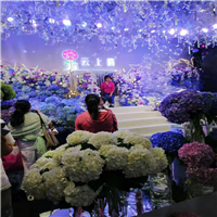 鲜花