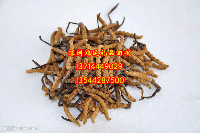 深圳回收冬虫夏草￥深圳回收虫草
