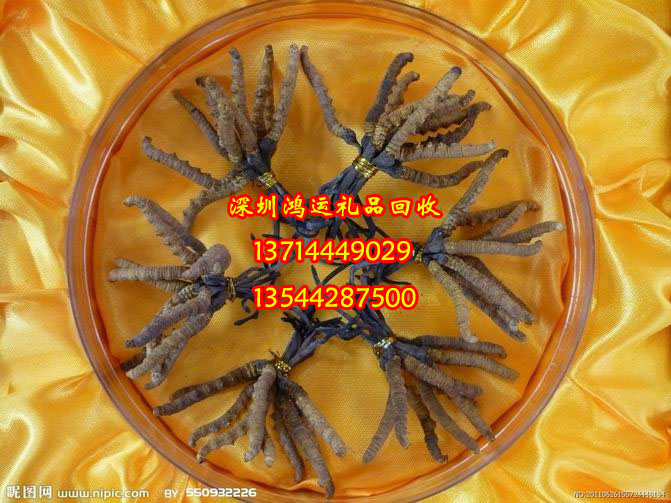 深圳回收冬虫夏草￥深圳回收虫草
