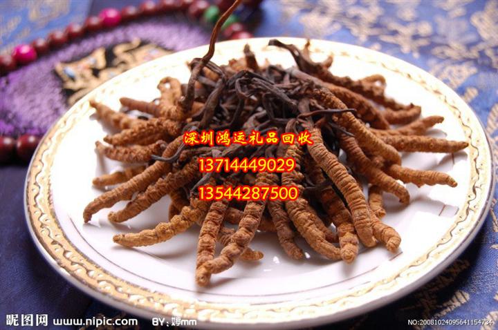 深圳回收冬虫夏草￥深圳回收虫草
