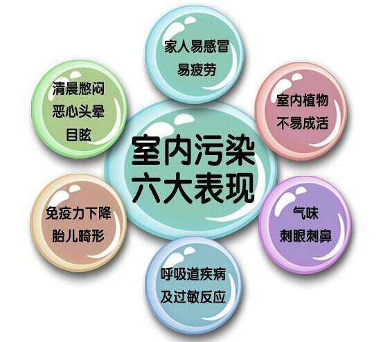 广州学习除甲醛 