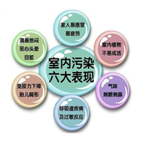 广州学习除甲醛 