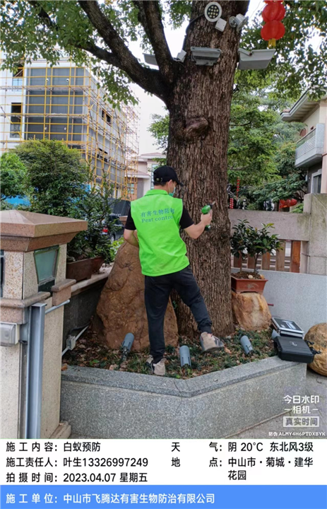 东凤灭白蚁电话