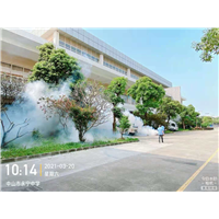 中山虫害防治 