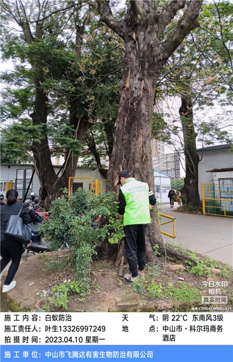 小榄灭白蚁