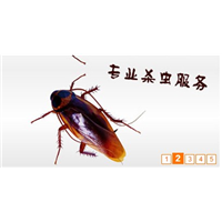 中山防蚊灭鼠