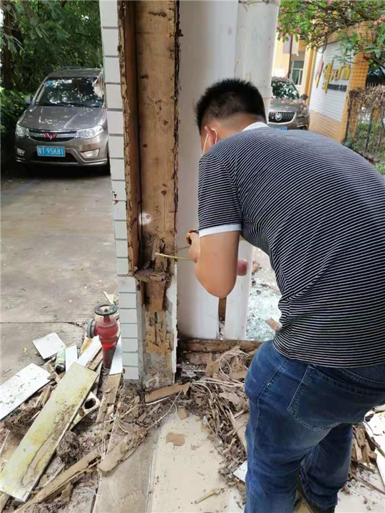 中山专业灭白蚁 