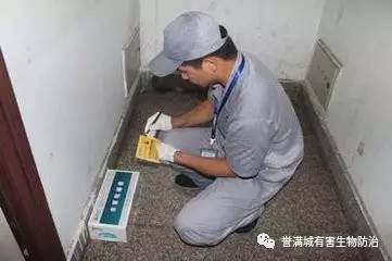 中山灭白蚁