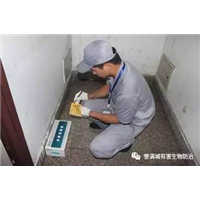 中山灭白蚁