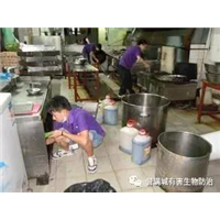 石岐灭白蚁