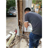 中山专业灭白蚁 